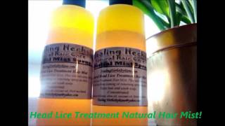 Natural head lice treatment  Healing Herbs By Rene Products [upl. by Ries]