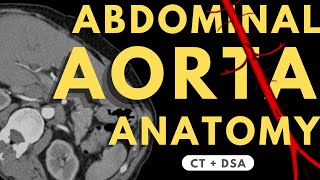 Abdominal Aorta and Branches  Radiology anatomy part 1 prep  How to read CTA  DSA [upl. by Alyks]