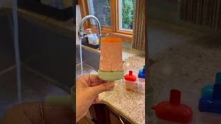 Refreshing Keto Popsicles Using Dollar Tree Molds  Summer Recipe DollarTreeFinds KetoRecipe [upl. by Ellenehc]