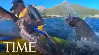 A Seal Slapped A Man In The Face With An Octopus Because Nature Never Stops Surprising  TIME [upl. by Ocire257]