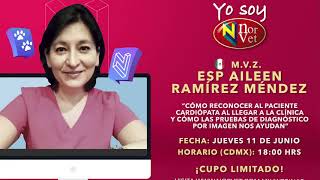 WEBINAR NORVET  Conferencia MVZ Esp Aileen Ramírez Méndez [upl. by Arraeic]