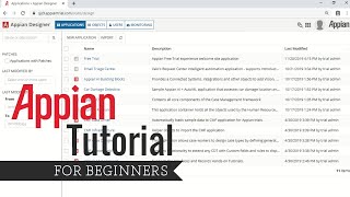 APPIAN TUTORIAL BUILDING A SIMPLE TIMESHEET APPLICATION [upl. by Zoha707]