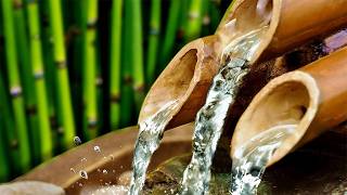 BAMBOO WATER FOUNTAIN  Relax amp Get Your Zen On  White Noise [upl. by Eiramait]