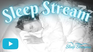 SleepSnore Stream with Puppies [upl. by Haek]