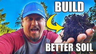 6 Ways To Build Better Soils Over Winter [upl. by Alamat281]