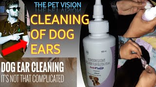 how to clean ear of dog   Ambiflush liquid  Prevents from ear infections  by Sahil Malik vet [upl. by Dian]