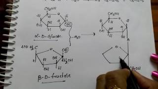 Disachharides Sucrose Maltose and Lactose Chemistry [upl. by Ogram753]