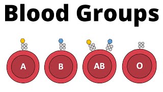 ABO Blood Group System AB0 Blood types amp compatibility explained [upl. by Nojel]