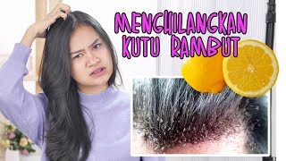 Dijamin Kutu Rambut Hilang Ini Cara Menghilangkan Kutu Rambut Dengan Alami [upl. by Alithia]