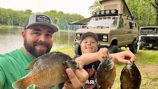 Bluegill Catch and Cook Camping in the Beast Van [upl. by Onfroi]