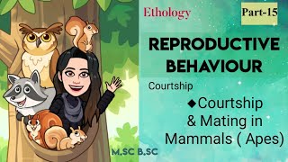 15 Last Courtship behaviour in Animal world Mammals Apes Ethology Zoology MSc BSc notes [upl. by Caterina]