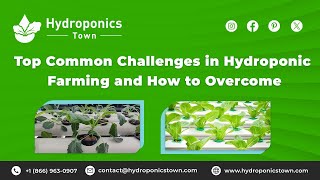 Top Common Challenges in Hydroponic Farming and How to OvercomeHydroponicsTown [upl. by Annaeerb918]