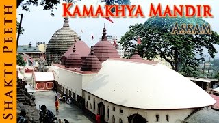 Shakti Peeth  Kamakhya Mandir  Assam  Indian Temple Tours [upl. by Assertal]