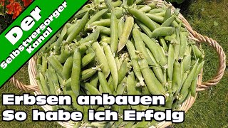 Erbsen erfolgreich anbauen [upl. by Nnywg]