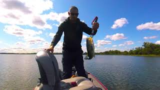 NORTHERN PIKE AND LARGE MOUTH BASS FISHING AT WOLF LAKE [upl. by Tades]