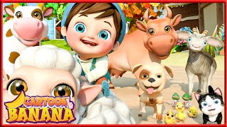 Old MacDonalds Animal Adventure MORE KIDS Songs amp Baby Songs  Coco Cartoon nurseryrhymes songs [upl. by Otrebilif647]