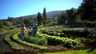 The Brothers Cazimero  quotHome in the Islandsquot [upl. by Fonseca]