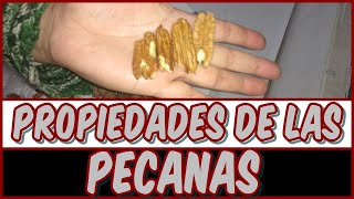 BENEFICIOS Y PROPIEDADES DE LAS PECANAS [upl. by Rozella]