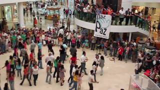 FlashMob Haz Paz Chihuahua Fashion Mall [upl. by Sudoeht]