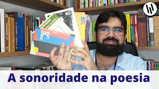 A sonoridade na poesia aliteração assonância repetição e onomatopeia  Professor Weslley Barbosa [upl. by Aerdnaed]