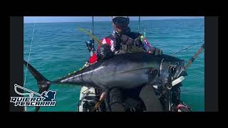 Pesca en kayak Puerto Rico [upl. by Nohsal]