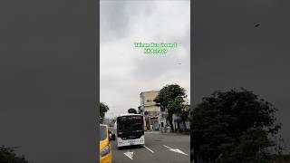 Bus Record  公車紀錄 356 202464 Tainan City Bus Green 1 KKA7329 [upl. by Nie]