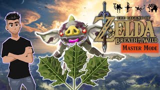 Breath of the Wild Ep 48  Lurelin Trouble [upl. by Yeltnerb]