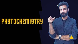 phytochemistry ll phytochemical ll Chemotaxonomy ll kotaeducantion [upl. by Euqitsym]