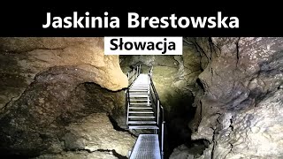 Jaskinia Brestowska [upl. by Aniara74]