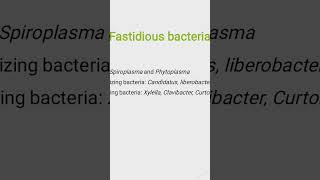 fastidious bacteria bacteriologymsc pathology netjrfsrfplant pathology agriculture icarnew [upl. by Anaujat]