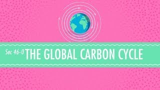 The Global Carbon Cycle Crash Course Chemistry 46 [upl. by Rufe739]