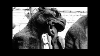 GARGOLAS CATEDRAL DE NOTRE DAMEGargoyles in Notre Dame Paris [upl. by Annaya]