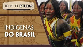 Indígenas do Brasil l Tempo de Estudar  História  7º ano [upl. by Elehcar]