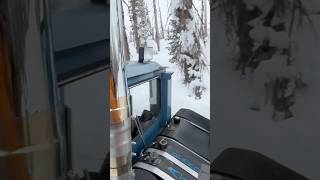 CAT Skiing skiing snow adventure mtb colorado mountains nature life lifestyle fun love [upl. by Scarlet]