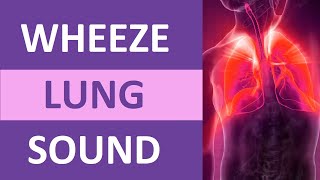 Wheezing Lung Sound Audio High Pitch  Nursing Adventitious Lung Sounds NCLEX Review [upl. by Vincenz]