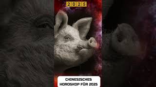 Schwein Chinese Horoscope 2025 [upl. by Ennavoj639]