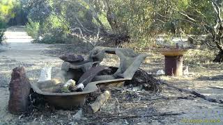 Malleefowl pair wandering around at our morning bird hide water point [upl. by Teague811]