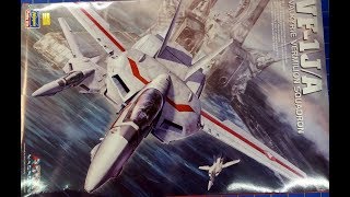 Project Veritech 1 Macross VF1JA 148 from Hasegawa [upl. by Erdnael]