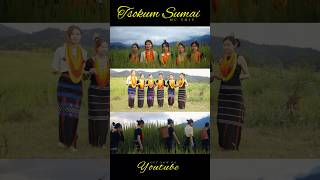 Tsokum Sumai  Mc Shiu Khiamniungan Song [upl. by Rodnas]