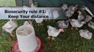 Make Biosecurity Your Routine [upl. by Kucik373]