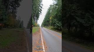 whidbey Island 🇺🇸 paseo en bicicleta [upl. by Arimahs]