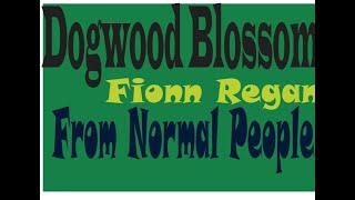 Dogwood Blossom  Fionn Regan  Lyrical [upl. by Ahtram]