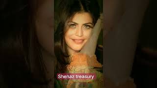 shenaz treasury transformation journey Life unseen pictures shorts [upl. by Gerdeen]