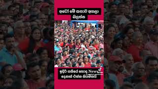 trending trendingshorts anurakumaradissanayake npp shorts short viralshorts video youtube [upl. by Kowatch]