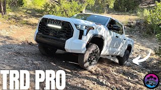 I Took The 2022 Tundra OFFROAD Worth The Hype [upl. by Raye]