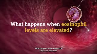 What are eosinophils [upl. by Trinia883]