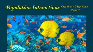 Population Interactions  Organisms amp Populations Part 5  Biology Class 12NEET  Hindi [upl. by Sorac]