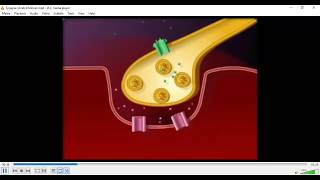 Muscle contraction for Neet by srikanth sir part 2 [upl. by Allana]