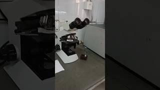 Bacteriology labstudy microscope medical world song music gkp medical medicalstudent [upl. by Lalita]