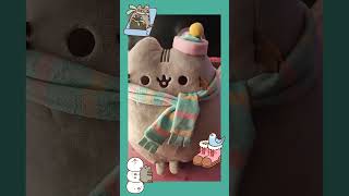 My plush winter Pusheen 😄🩵🩷💛🐈winterpusheen [upl. by Zennie]